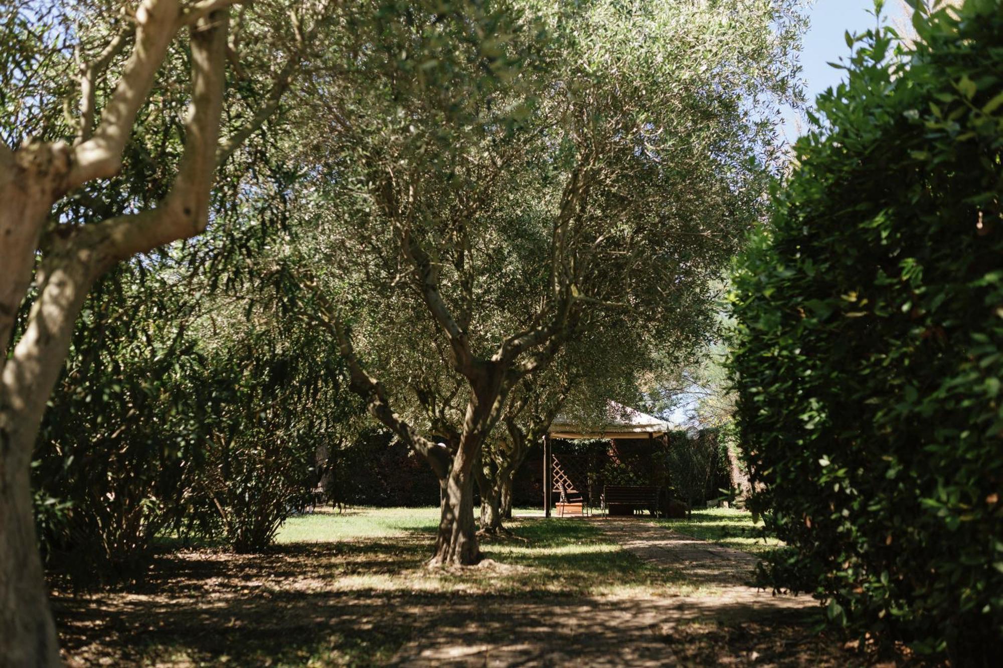 Villa Chiara Porto Recanati Ngoại thất bức ảnh
